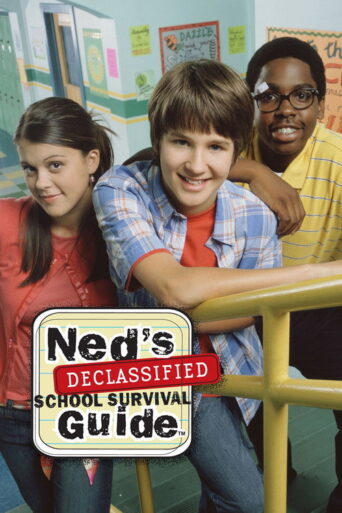 Ned’s Declassified School Survival Guide (2004) poster