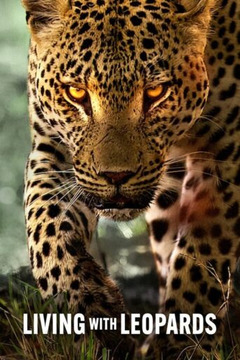 Living with Leopards (2024) poster
