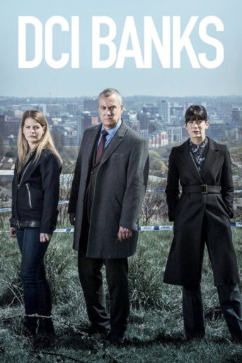 DCI Banks (2011) poster
