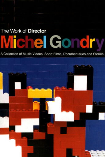 The Work of Director Michel Gondry (2003) poster