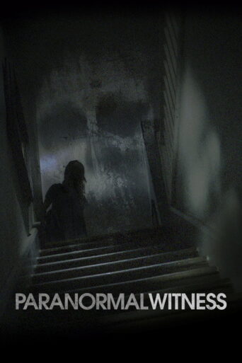 Paranormal Witness (2011) poster