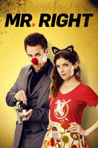 Mr. Right (2016) poster