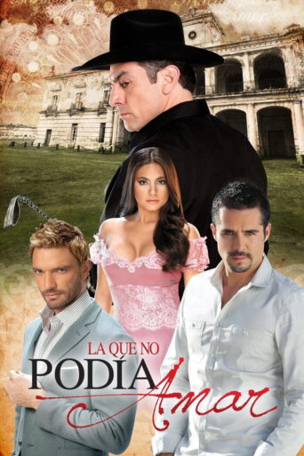 The One Who Couldn’t Love (2011) poster