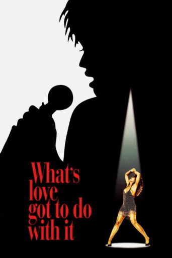 What’s Love Got to Do with It (1993) poster