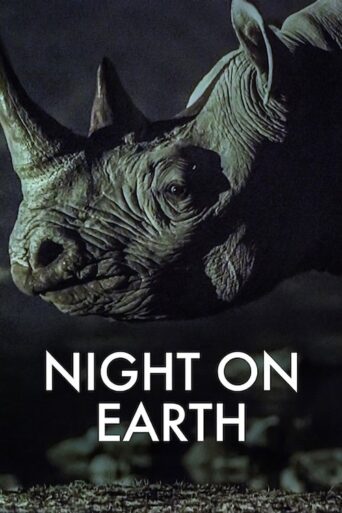Night on Earth (2020) poster
