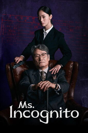 Ms. Incognito (2025) poster