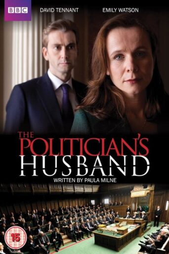 The Politician’s Husband (2013) poster