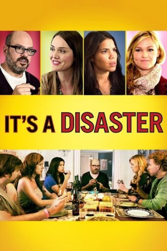 It’s a Disaster (2013) poster