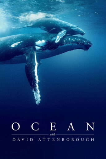 Ocean with David Attenborough (2025) poster