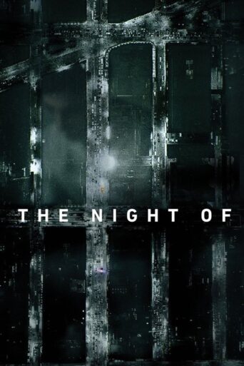 The Night Of (2016) poster