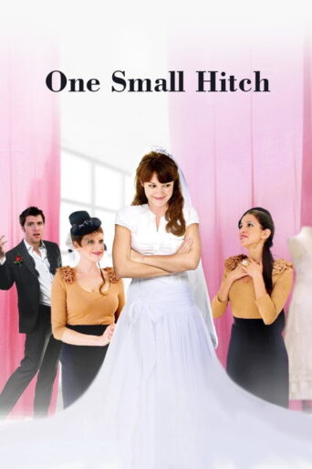 One Small Hitch (2013) poster