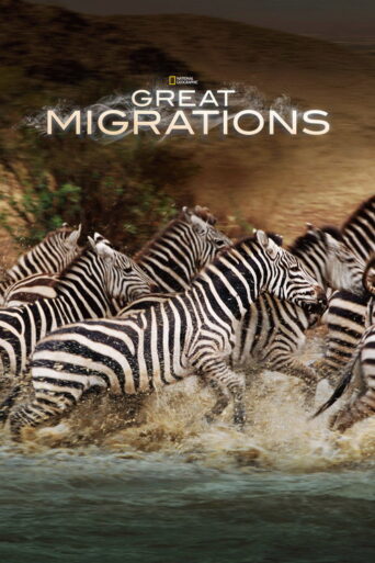 Great Migrations (2010) poster