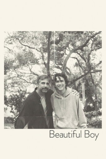 Beautiful Boy (2018) poster