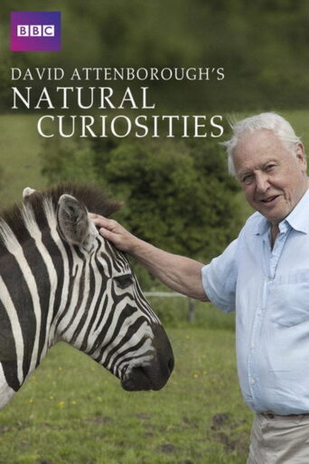 David Attenborough’s Natural Curiosities (2013) poster