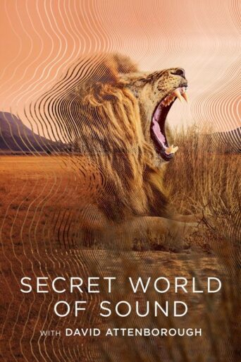 Secret World of Sound (2024) poster