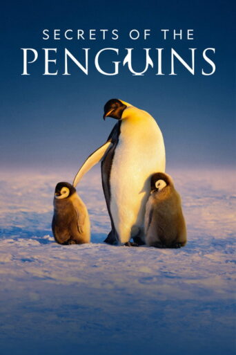 Secrets of the Penguins (2025) poster
