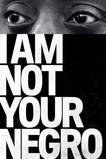 I Am Not Your Negro (2017) poster