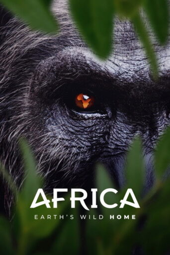Africa Earth’s Wild Home (2026)